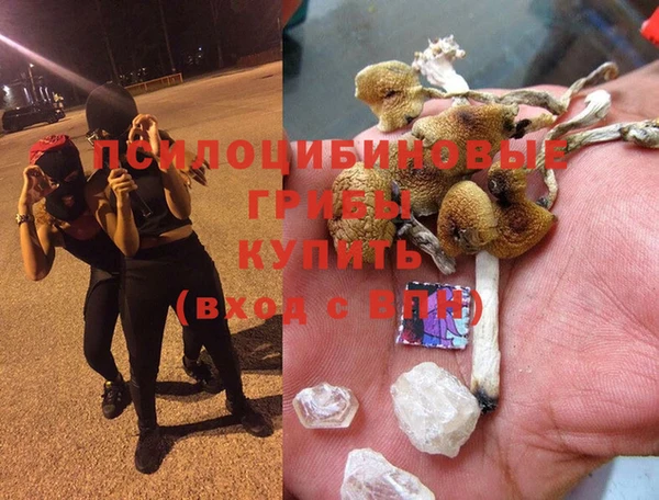 apvp Корсаков