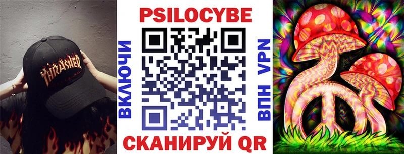 где найти   кракен tor  Псилоцибиновые грибы Cubensis  Кола 